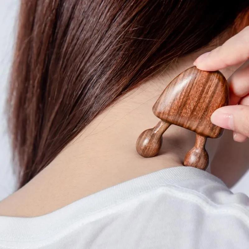 Face Massager Green Sandalwood Facial Massage Comb Wooden Handle Eye Massage Small Snail Comb