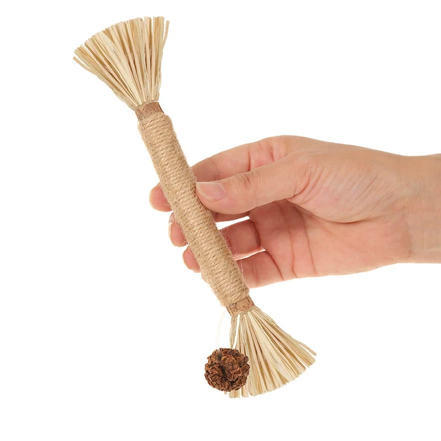 Natural Matatabi Catnip Sticks 1