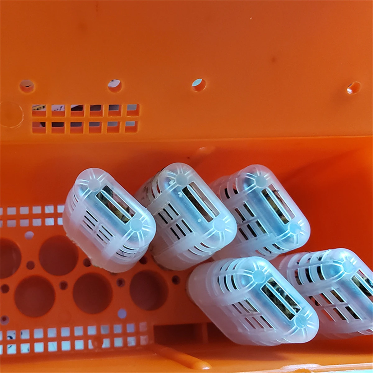 Queen Bee Transport Box Kit 20Pcs White Queen Bee Cages Red Large Transport Box Rearing Incubator Moving Isolator