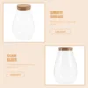Diy Betta Bottle Micro Landscape Container Bryophyte Ecological Bottle Glass Terrarium Vases Home Decor Plant Pot Storage Jar 5