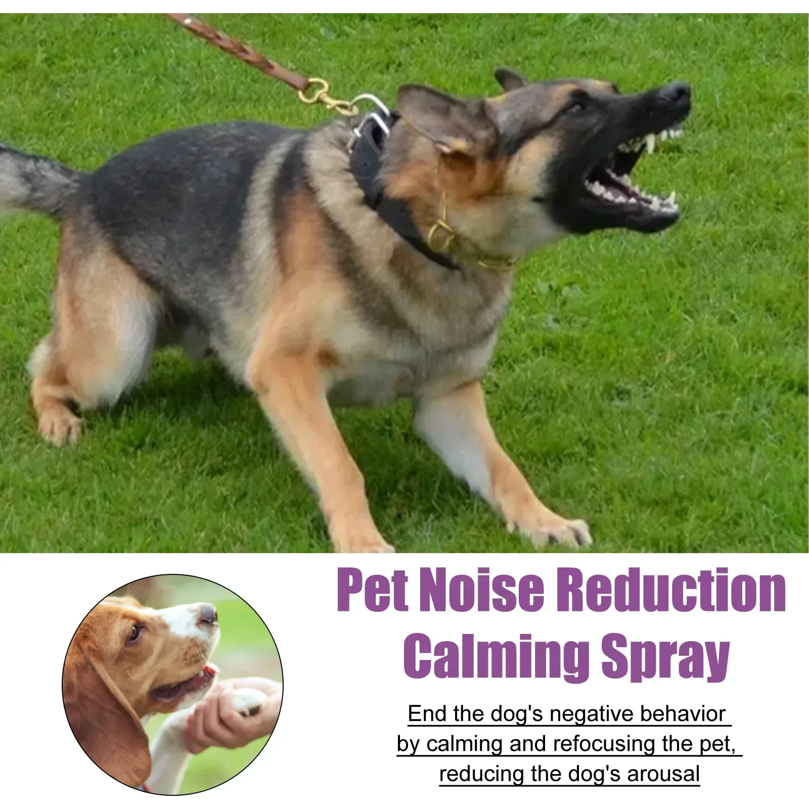 Calming Spray Cat Dogs Deterrents Stress Kitten Soothing Anti Training Calm Down Conditioning Pet Pheromone Collar Sprayer pet calming spray