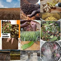 One Touch to Gorgeous 110 ml African Rosemary＆ Cloves Hot Oil  Accelerate the Scalp to Deliver More Nutrients to Hair Follicles 5