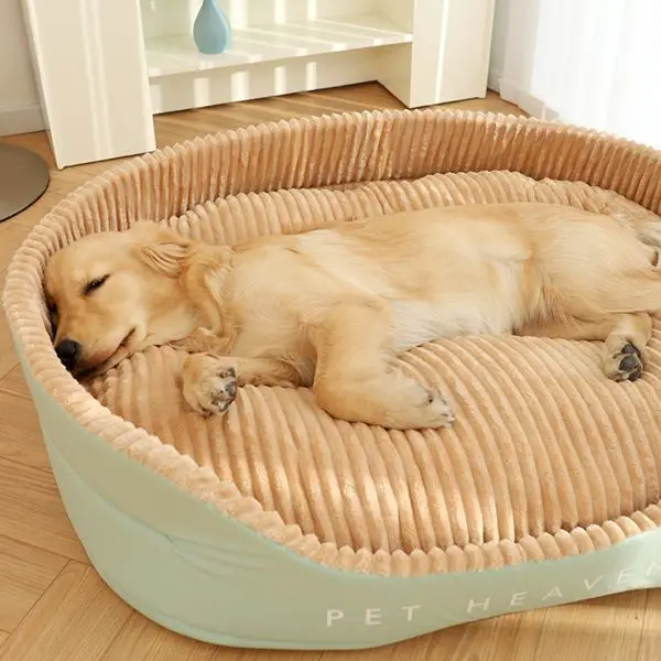 1Lovely Pet Home Store