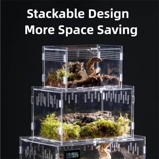 Durable Acrylic Reptile Habitat Clear Multiple Size Lizard Breeding Box Anti-Escape Arboreal Small Pet Cage for Scorpion 4