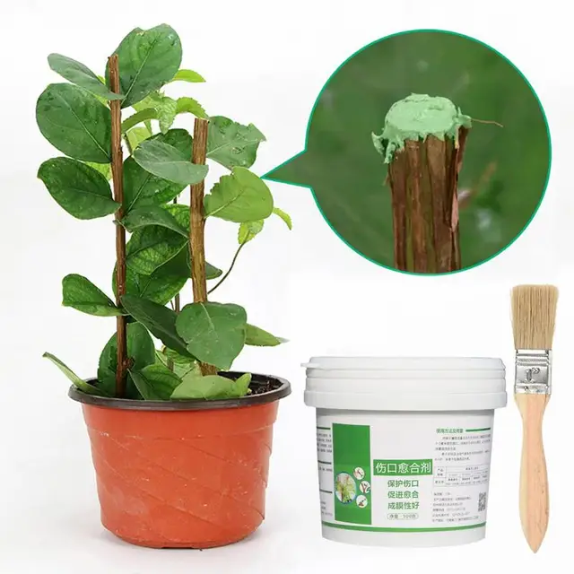500 G Növény Fa Sebgyógyító Tömítőanyag Oltó Metszés Tömítő Bonsai Vágott Sebpaszta Kenet Javító Kenőcsös Szerszámok - Image 5