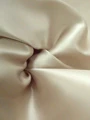 Champagne color