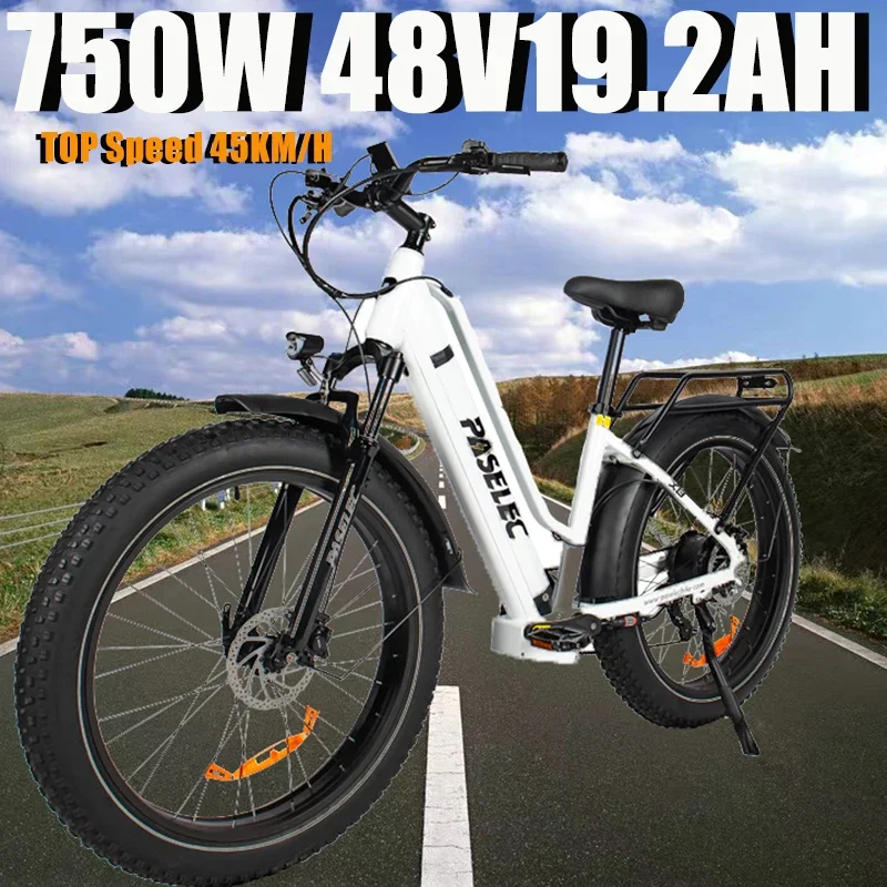 

Продажа электровелосипеда TX8 750 Вт Мотор 48 В Ач мощная скорость аккумулятора 45 км/ч Гидравлический дисковый тормоз взрослый электровелосипед горный электровелосипед