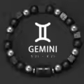 Gemini 1