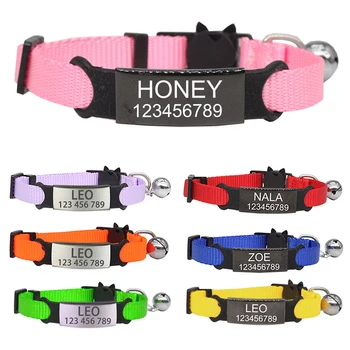 Custom Pet ID Collar 1