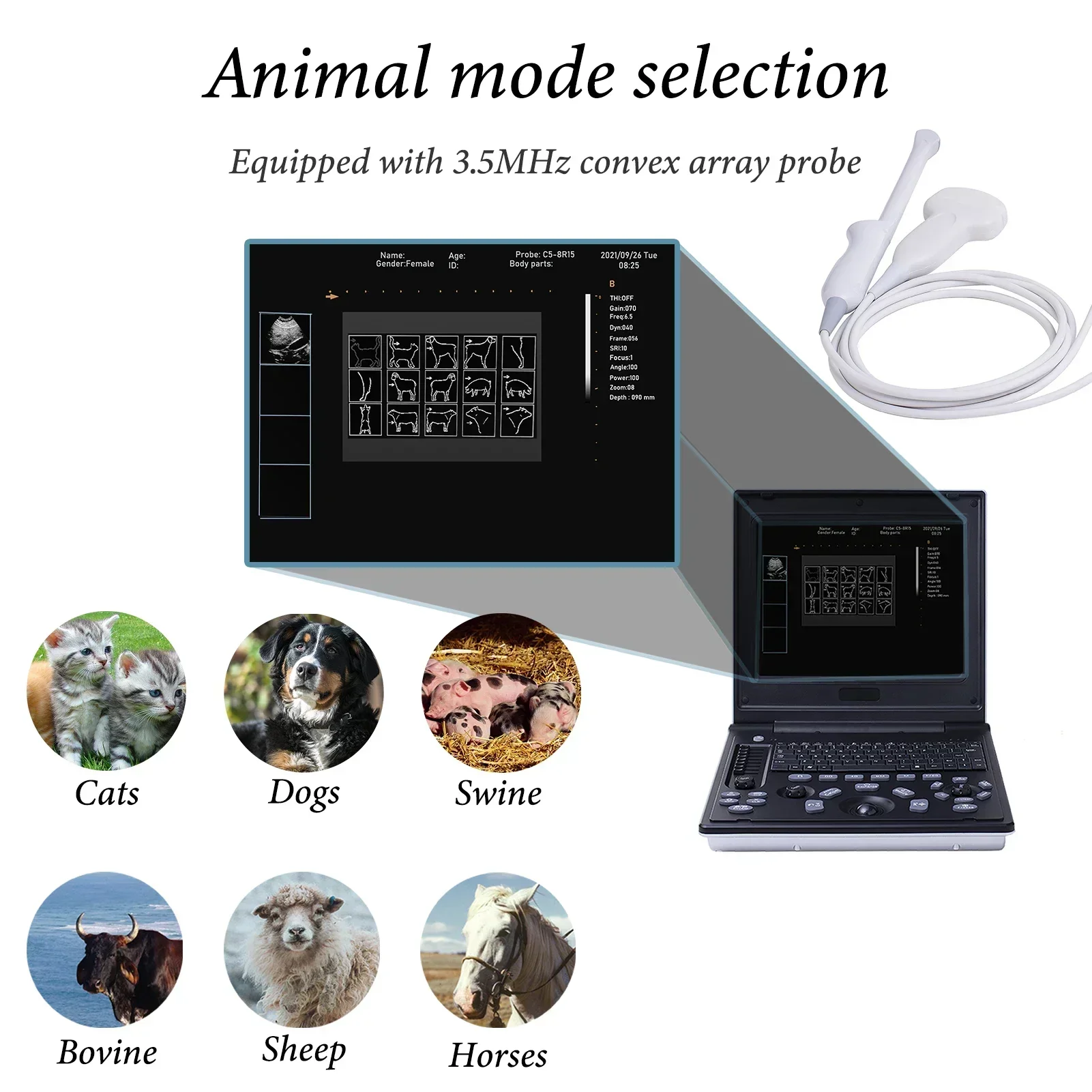 Veterinary B-Ultrasound Machine with 3.5 MHz Micro Convex Probe for Pregnancy Cat Dog Goat Cow Pig Portable Laptop Scanner