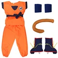 6PCS-GOKU