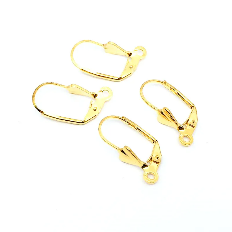 20Pcs Surgical Stainless Steel Hypoallergenic Leverback French