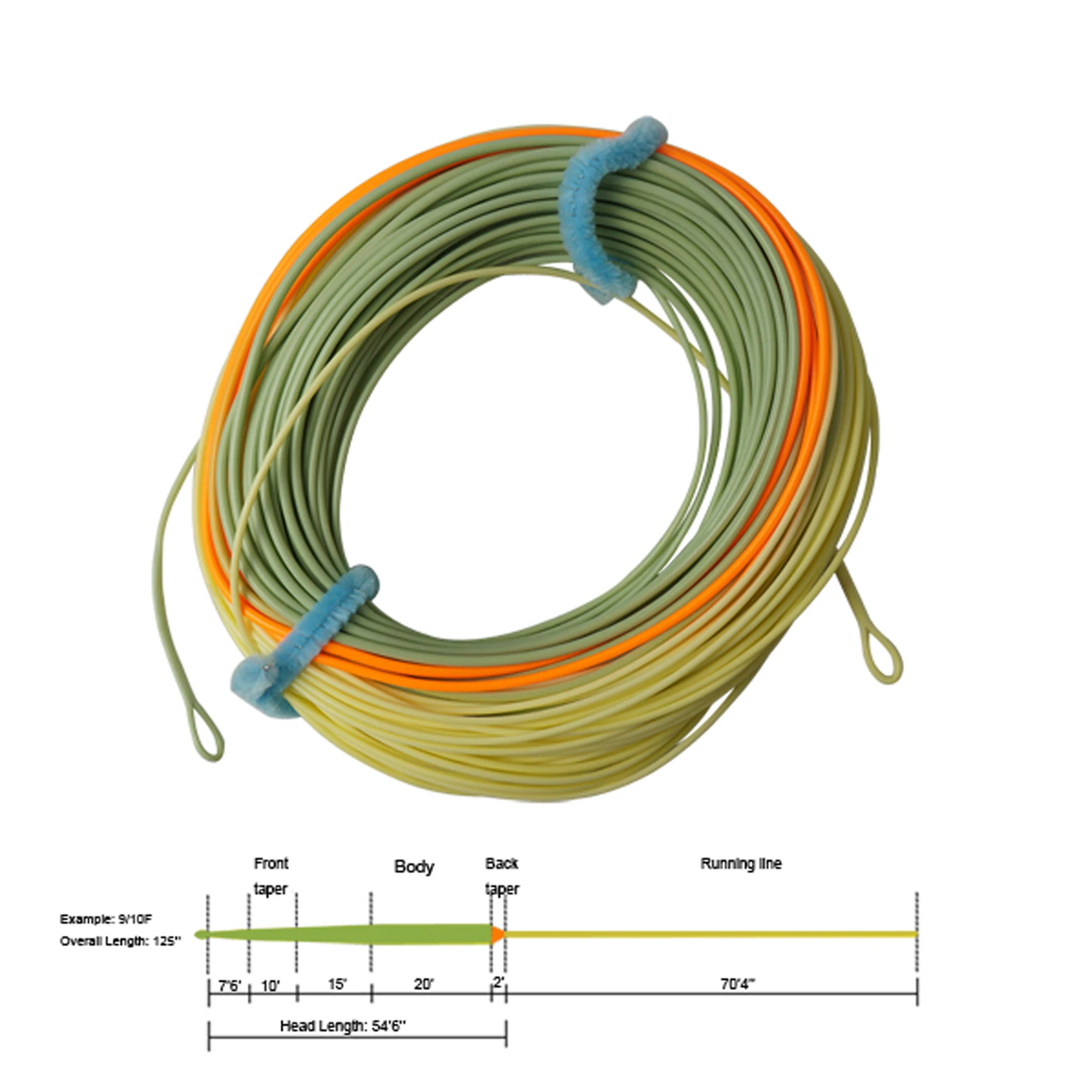 Ligne de mouche à truite flottante premium pour lignes WF 7 wt 75 pieds