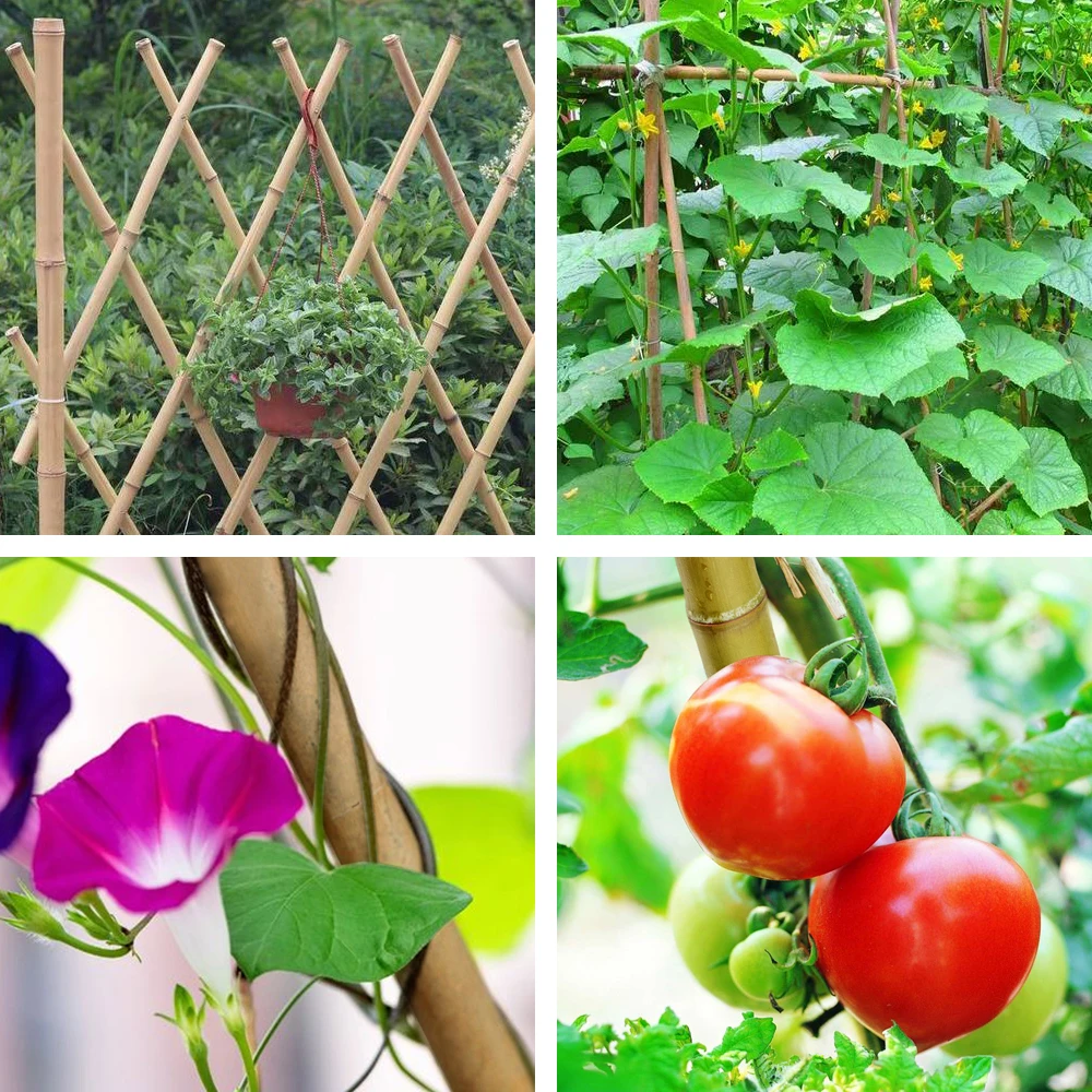 2 ft. x 5/16 in. Natural Bamboo Eco-Friendly Garden Plant Stakes for Climbing Support (100-Pack)