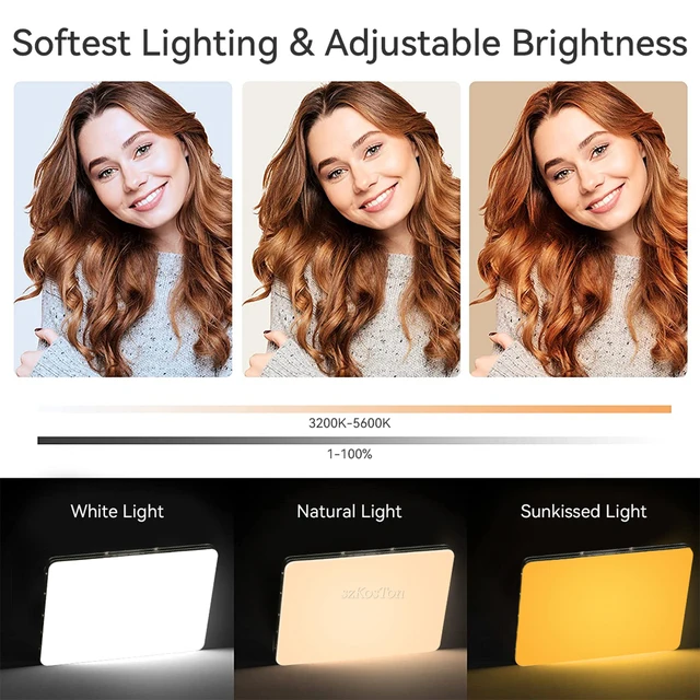 Clip-on LED Video Light Selfie Light Computer Tablet Mobile Phone Video  Conference Light 2500K-9000K Dimmable Built-in Battery - AliExpress