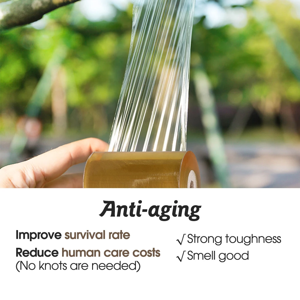 Grafting Tape PE Self-adhesive Stretchable Clear Repair Film for Tree Plant Seedlings Vine Tomato Planting