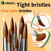 Marie's 6pcs Round Nylon Hair Paint Brushes Set,Paintbrushes for Acrylic,Oil,Paint by number,Tempera,Canvas for Students,Adults 2