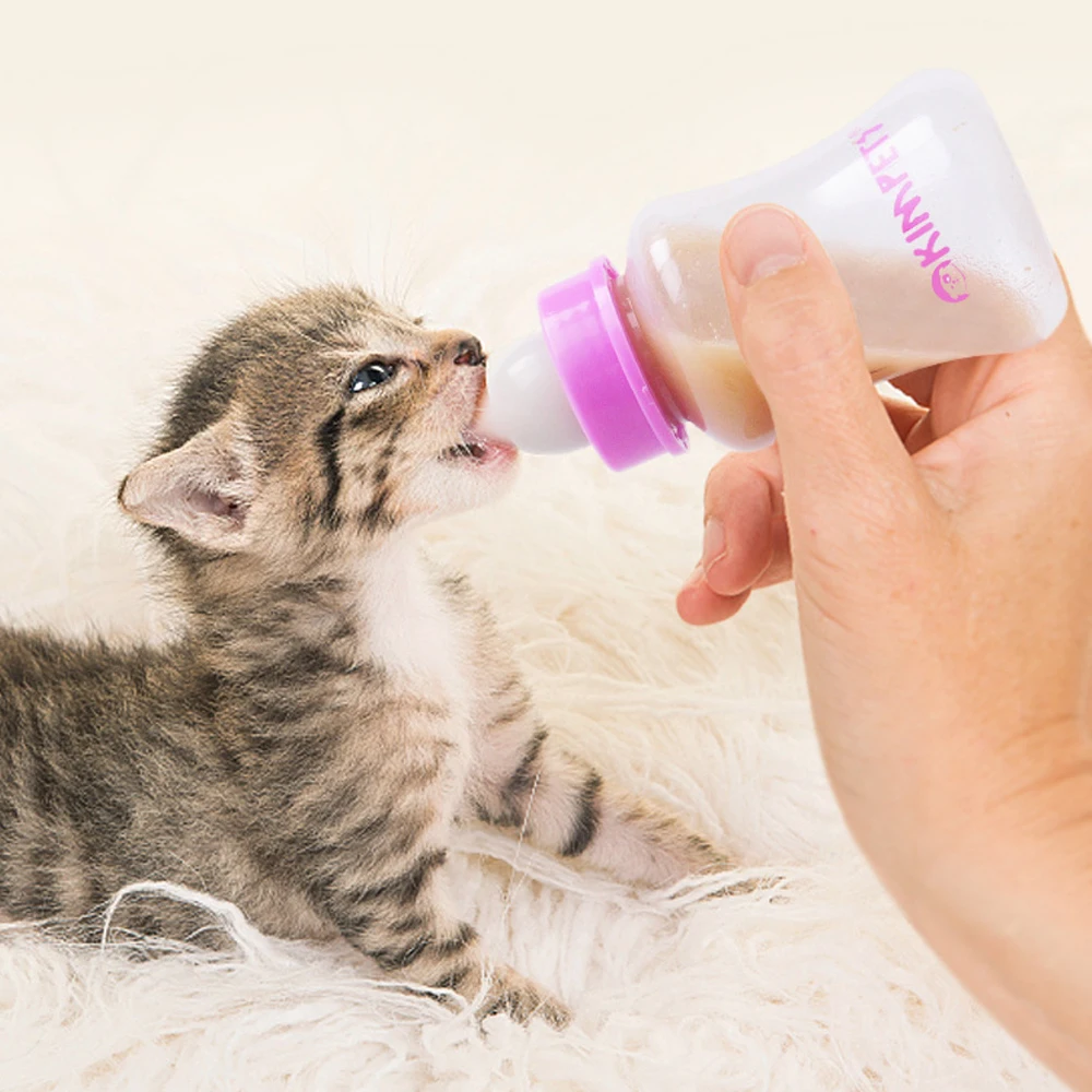 Newborn Pets Feeding Nursing Water Milk Feeder Baby Cat Dog Drinking