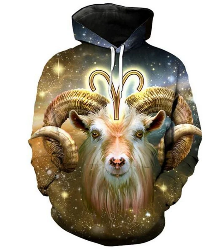 

Hot Sales ! !12 Constellation Aries 3D Printed Men/Women's High Quality Hoodies/Hooded Pullover Long Sleeve Sweatshirts