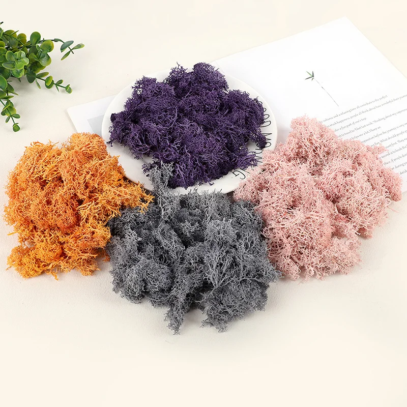 20g Künstliches Konserviertes Moos Ewiges Leben Grünmoos für DIY-Basteleien Mini-Landschaft Wohnzimmer Hausgarten Dekorationsbedarf – Detail 8
