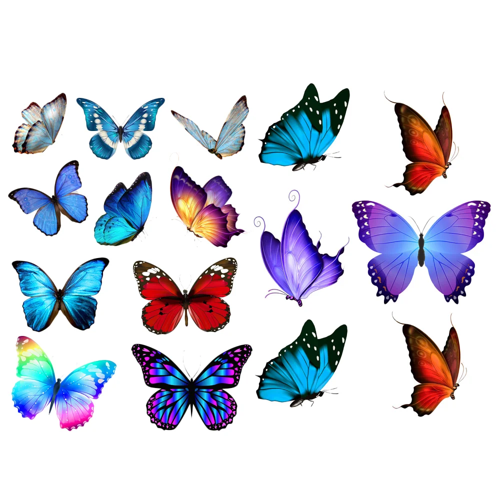 

2 Sheets Water Bottle Butterfly Bumper Stickers Cartoon for Kids Pvc Butterflies Decals