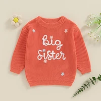 Toddler Baby Girl Boy Knitted Sweater Big Sister Pullover Sweatshirt Chunky Sweaters Sister Matching Outfit