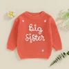 Toddler Baby Girl Boy Knitted Sweater Big Sister Pullover Sweatshirt Chunky Sweaters Sister Matching Outfit 1
