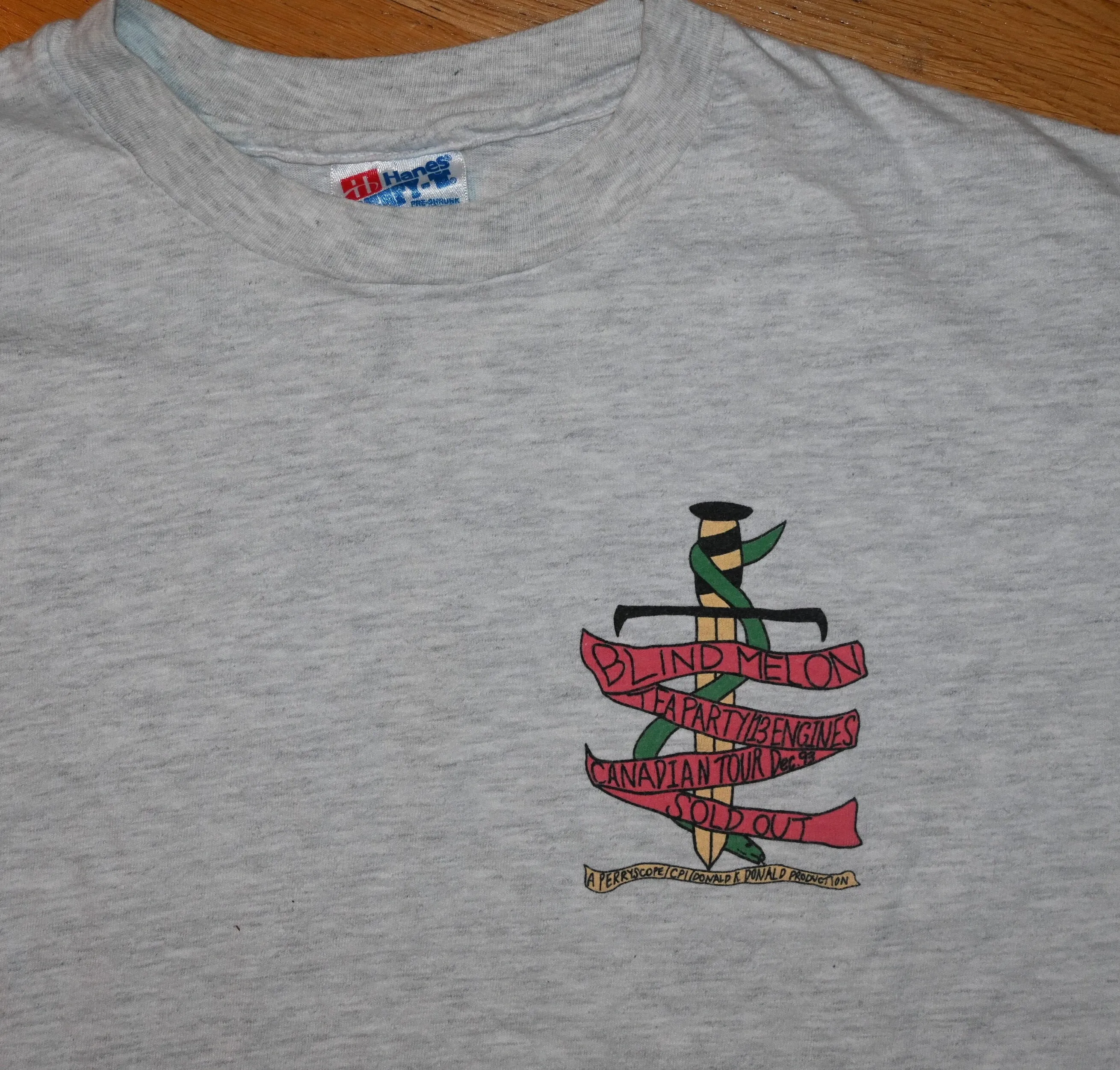 1993 Blind Melon Vintage Rare Concert Dec 93 Canada Tour W/