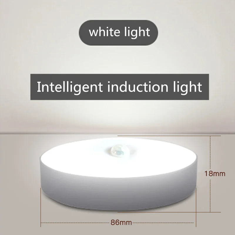 

Home Appliance Under Cabinet Light Led Smart Body Sensor Lamp Night Lights Wardrobe Entrance Staircase USB Rechargeable