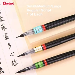 Pentel Soft - Tip Calligraphy Brush Pen - Refillable Ink for Scientific Writing and Regular Script Practice (One of Each)