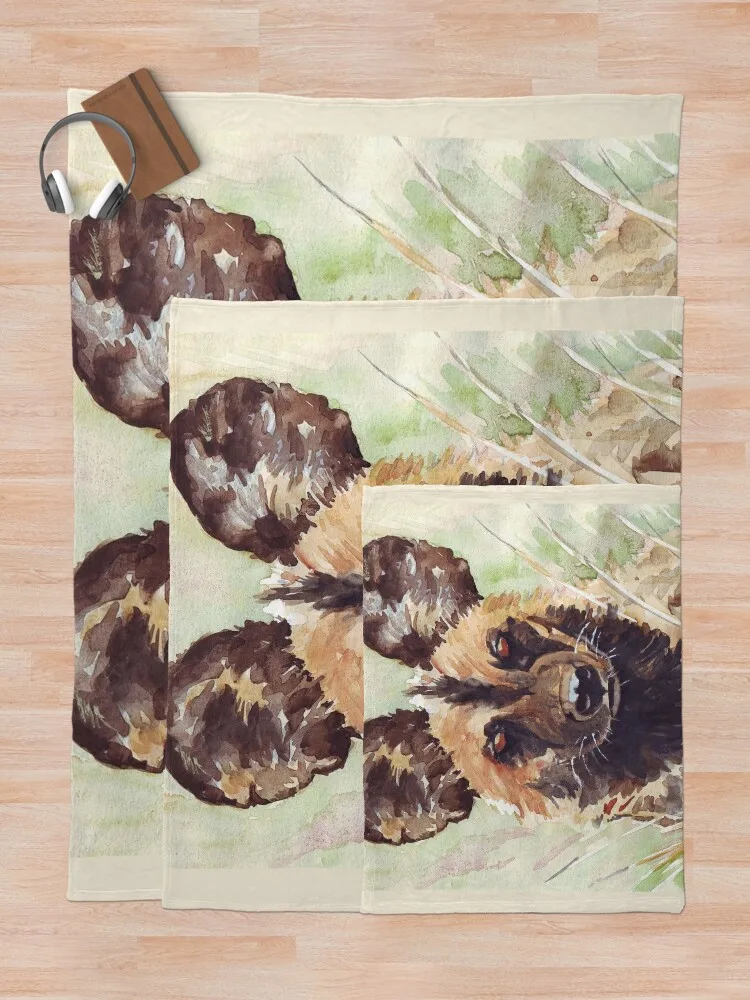 ������ī �߻� �� ������ ���, ��� ħ��, ����� �� �ʼ� �ö���, ��� ���� ���