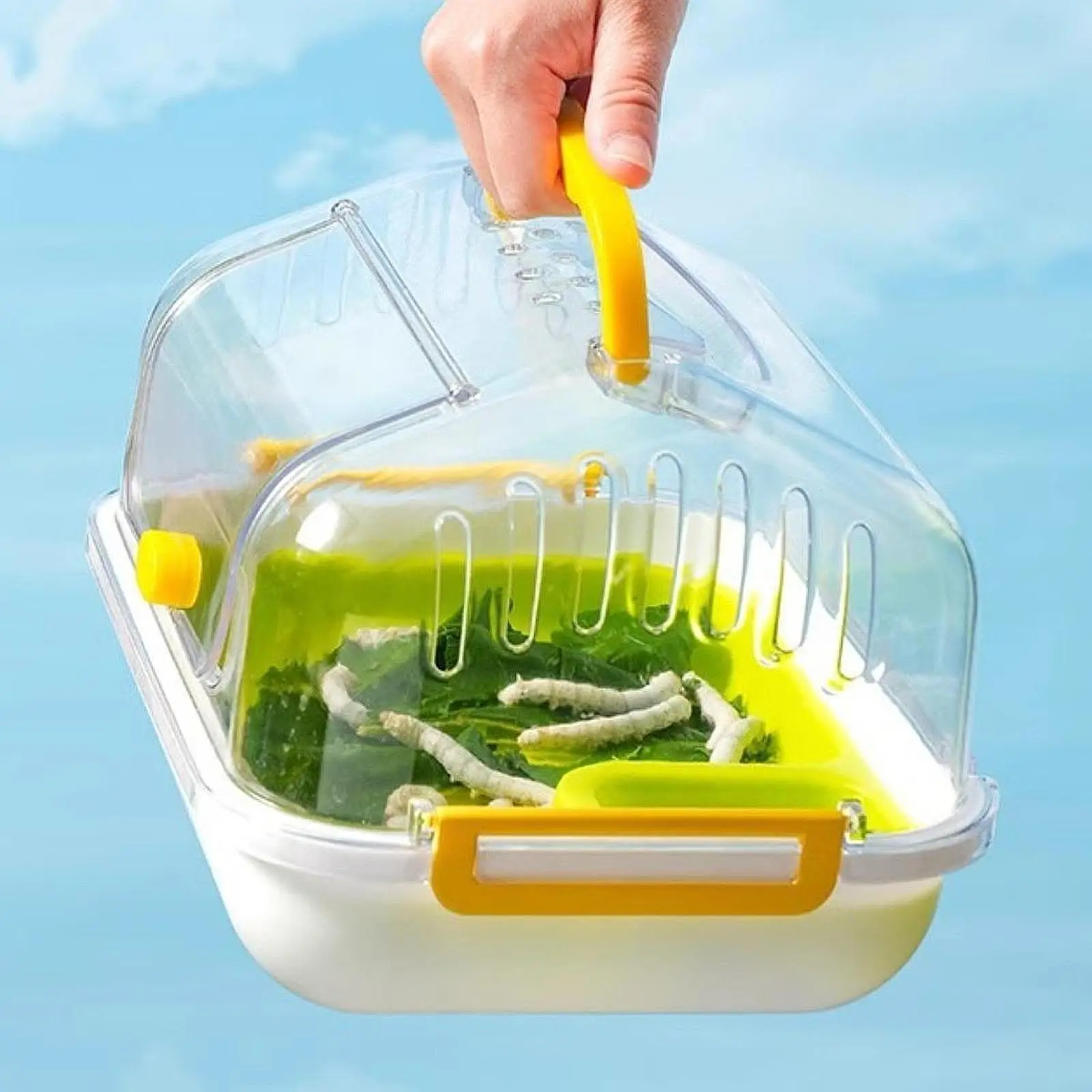 Turtle Tank Amphibians Multifunction Areas Tortoises Case Turtle Terrarium for Snail Butterflies Horned Frogs Turtle Silkworms