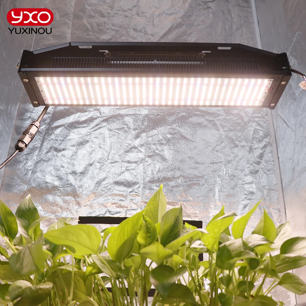 Samsung Led Grow Light Spettro Completo Lm301H 240W Hydroponics Growbox Phytolamp Per Piante Tenda Fiori Serra Veg Bloom Lamp