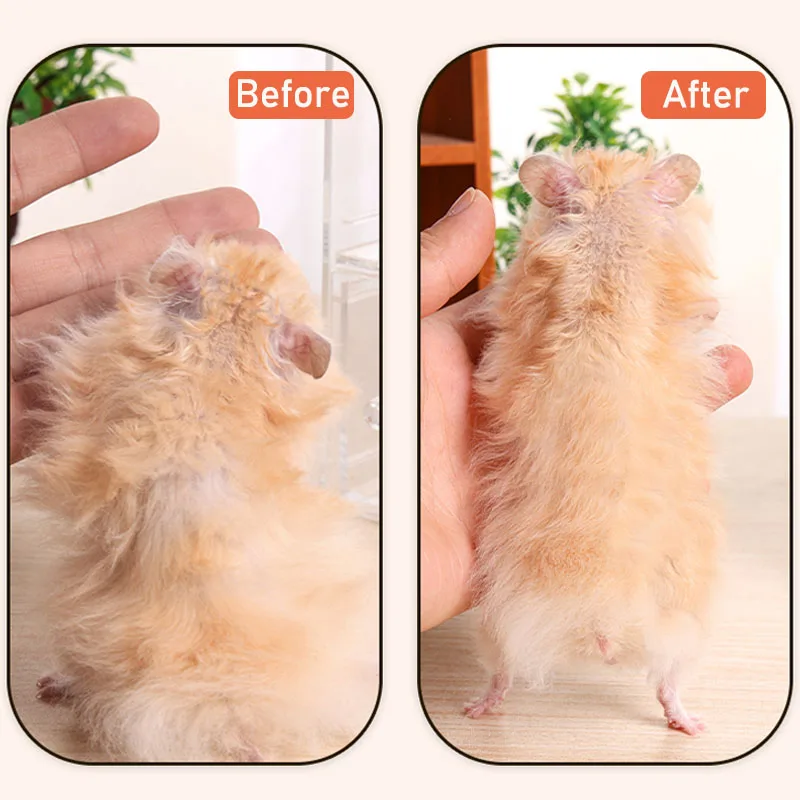 Mini Pet Grooming Combs 4