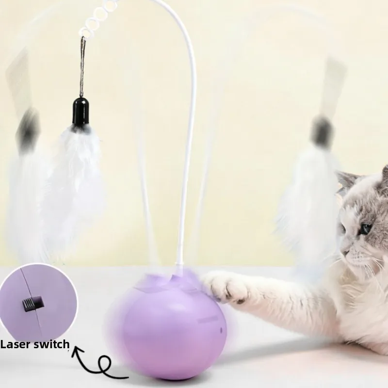 Accesorio para gatos