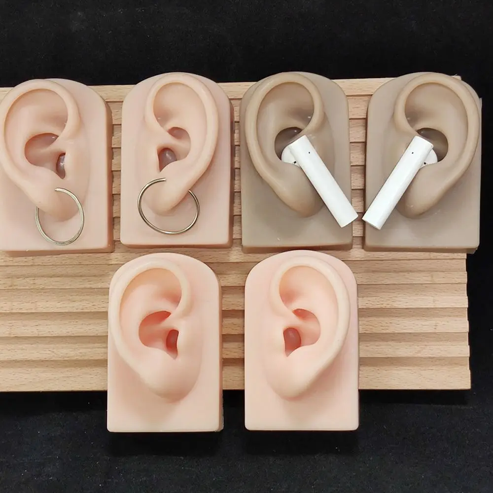 

Props Human Mannequin Teaching Tools for Hearing Teaching Simulation Ear Silicone Ear Model Jewelry Earrings Display Fake Ear