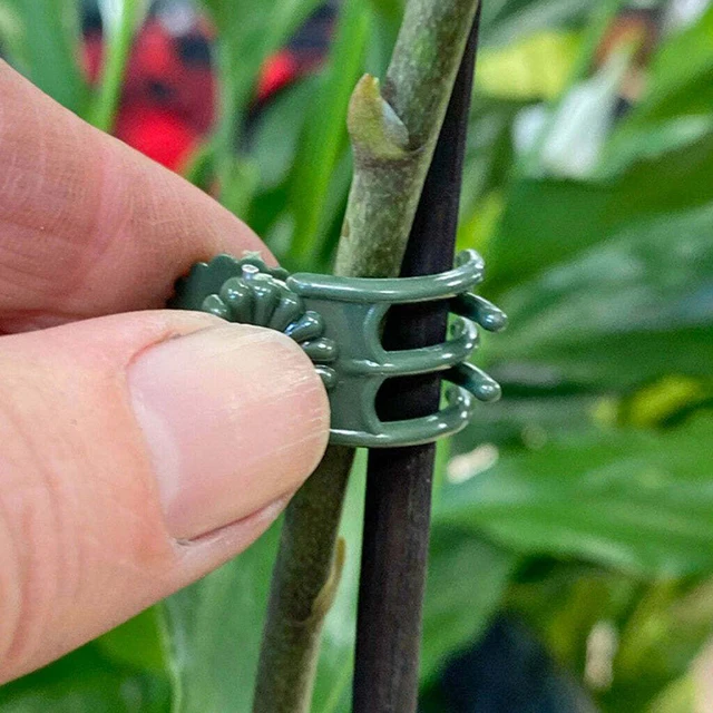 20pcs Garden Plant Clips Butterfly Orchid Clips Plant Support Stem Clamps Garden Flower Vine Plant Support Garden Tools 5