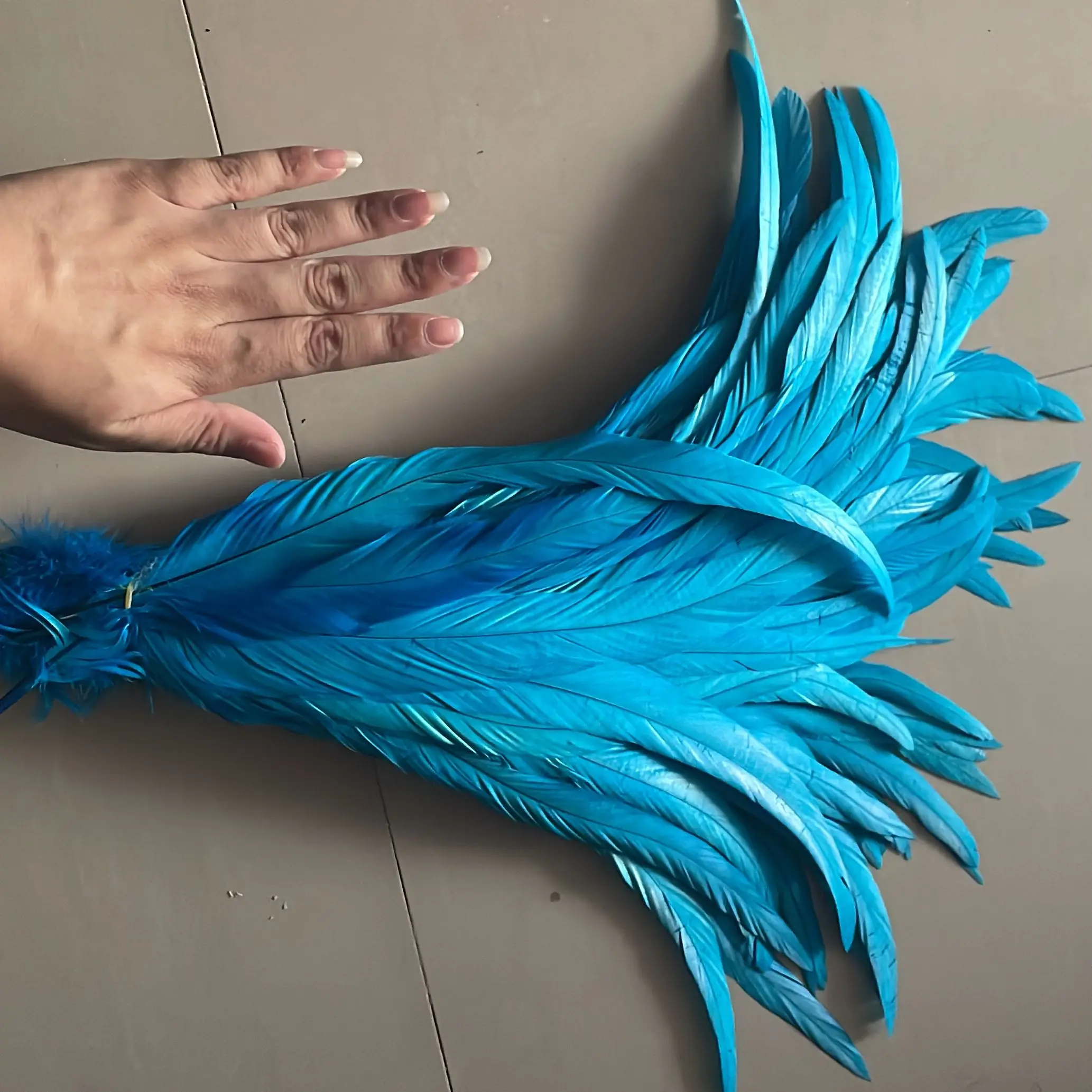 100pcs Blue Carnival Rooster Tail Feathers 25-30cm 30-35cm for Crafts  Headdress Party Clothing HeadWear Decor Pheasant Plumas