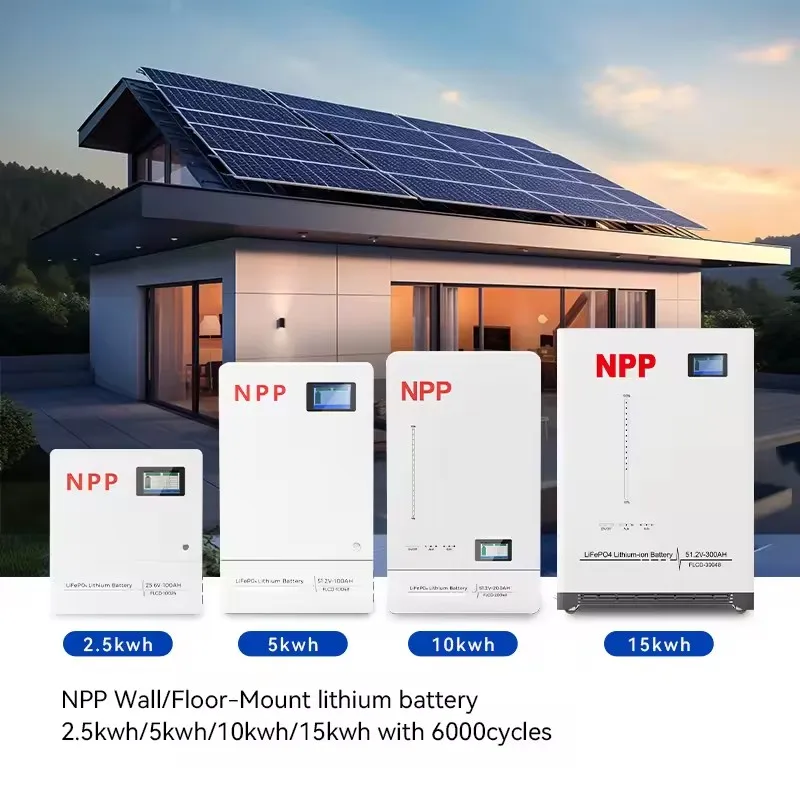 NPP Wall Floor Mounted Lithium Storage Battery Lifepo4 BMS 25.6V 100AH 2.5KWH Quickly Recharge Free Maintenance Solar System