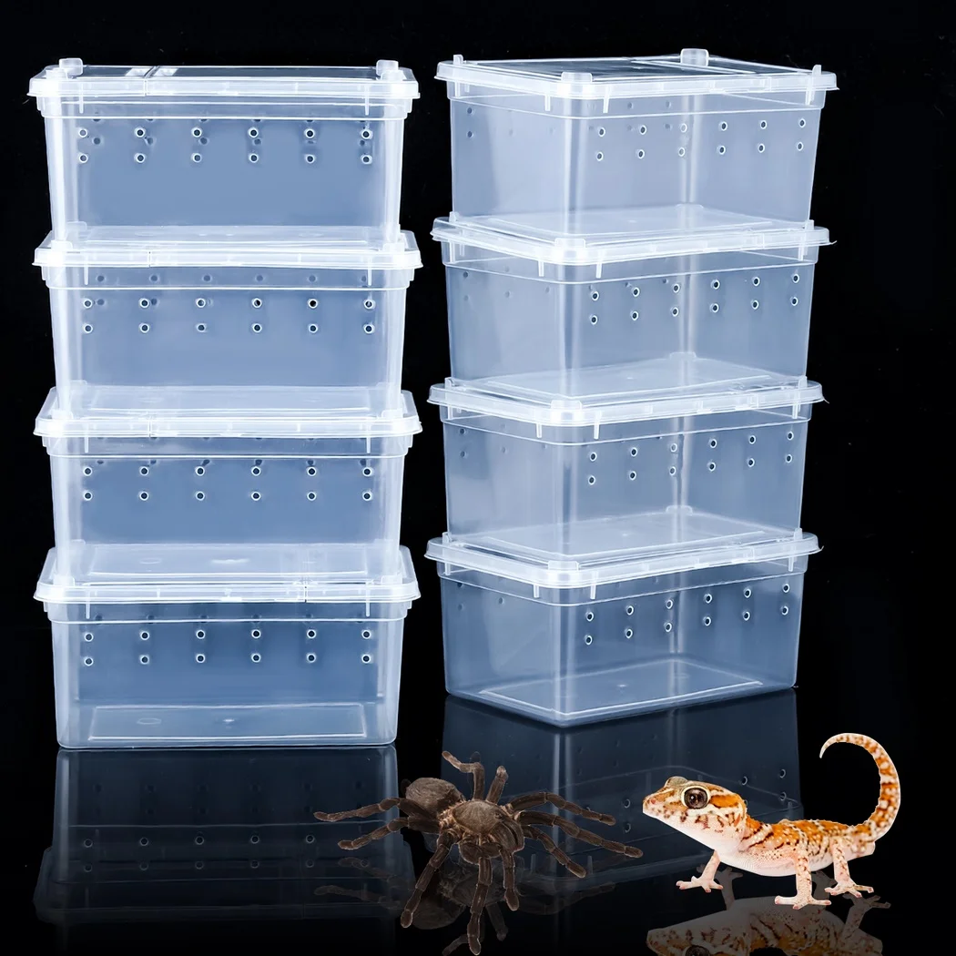 Insect Spider Terrariums Aquarium Tank Vivarium Box 8Pcs/Set For Reptile Spider Scorpion Centipede