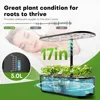 Hydroponics Growing System with 12 Pods, Adjustable Height 17"
