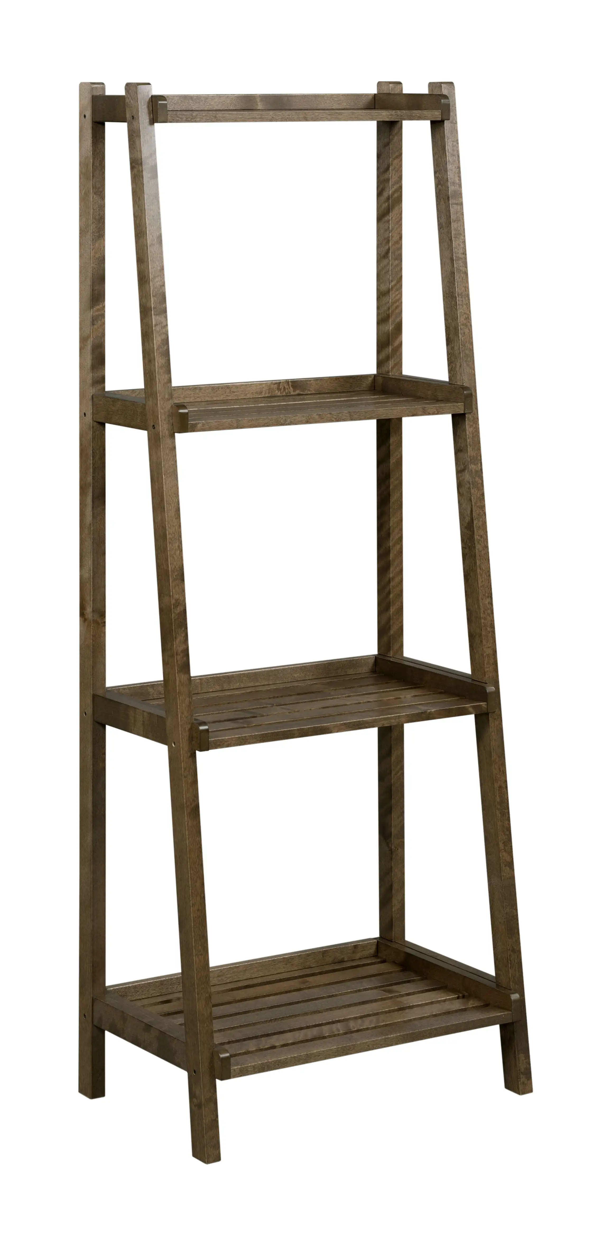 

Dunnsville 4-Tier Ladder Shelf