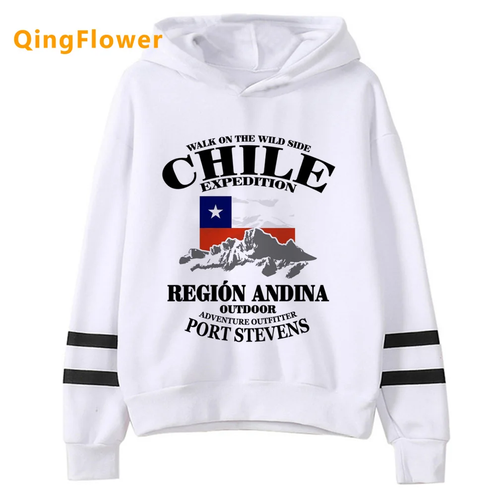 

Chile hoodies women sweat y2k aesthetic gothic graphic clothing women Korean style sweatshirts