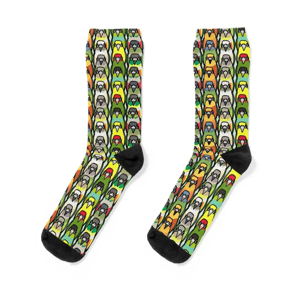 

Conure pattern Socks cute sports and leisure anime bright garter Socks Girl Men's