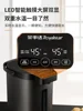 Royalstar Constant Temperature Hot Water Pot Smart Household Insulation Automatic Water Dispenser Electric Kettle 2