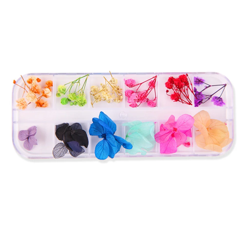 

2 Boxes Nail Dried Flowers Real Pressed Dried Flowers 3D Nail Sticker for Nail Design ( Style 2 )