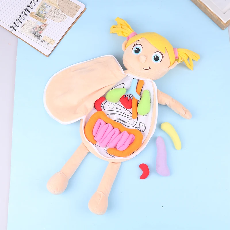 Kid Montessori Toys 3D Puzzle Human Body Anatomy Doll Body Organ Teaching Aids Human Body Anatomy Plush Toy 2