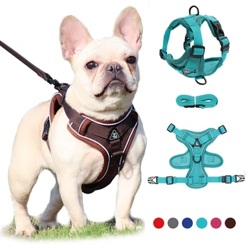 Ensemble réglable pour animaux de compagnie, sans côtes, maille de coulée, sangle de poitrine pour petits chiens et chats, bouledogue français, SFP et laisse