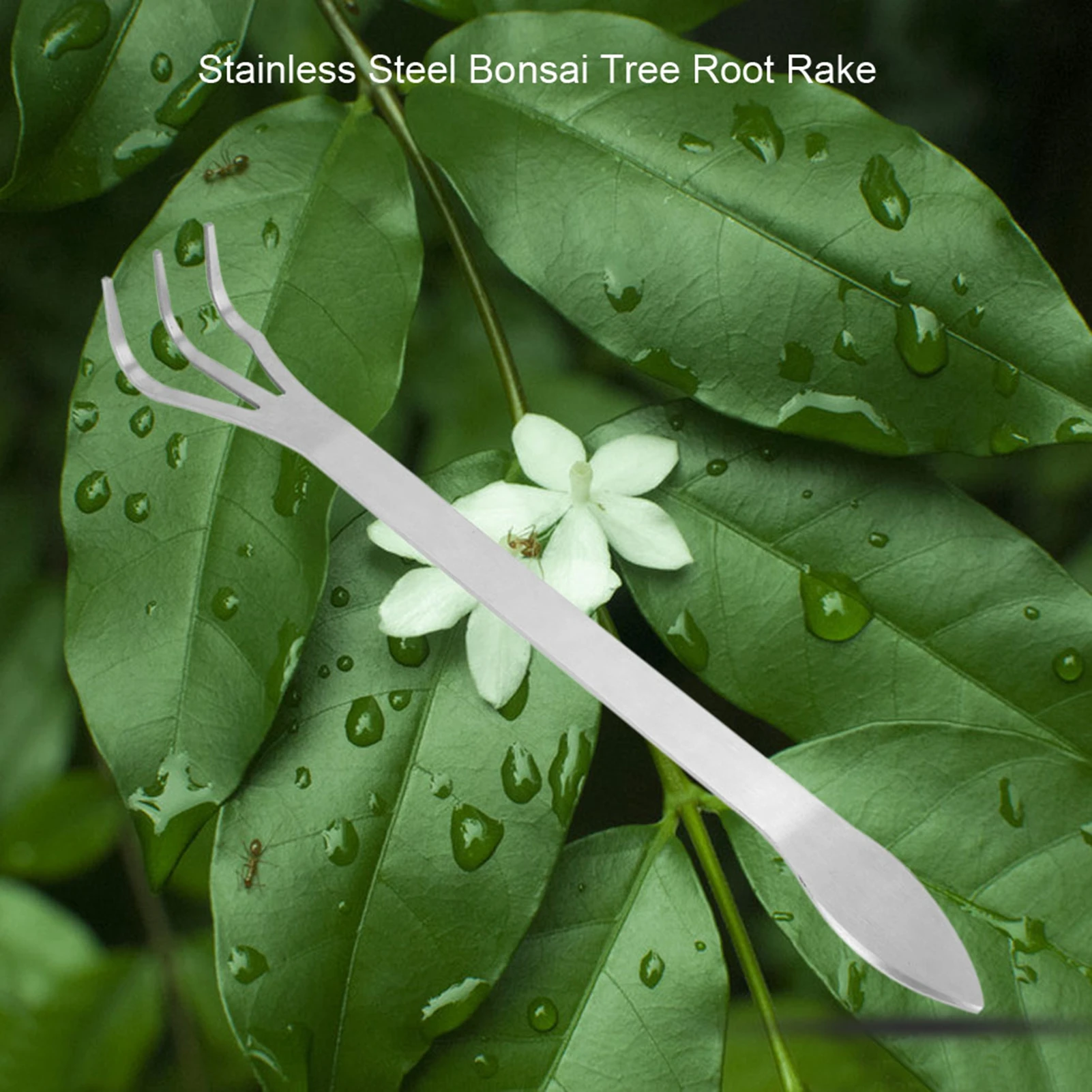 Description Picture 2 of itemBonsai Rake Rake Stainless Steel Root Rake Stainless Steel Root Rake 3-Prong Loosen Soil Bonsai Tree Tools with Ergonomic Handle
