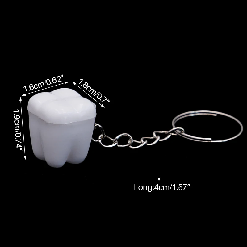10PCS 흰색  치아 상자 열쇠고리 장식 액세서리, 스테인레스 스틸 열쇠고리가 있는 치아 모양 장식 열쇠고리